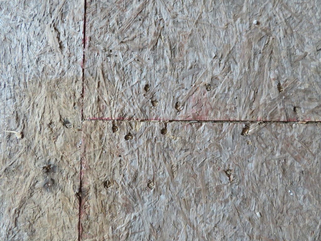 Picture3