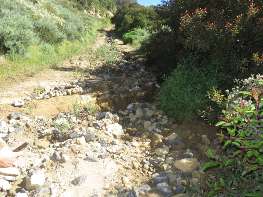 Landslide Damage Investigation to Property